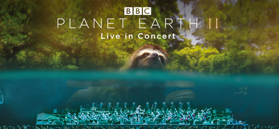 planet earth ii: a world of wonder