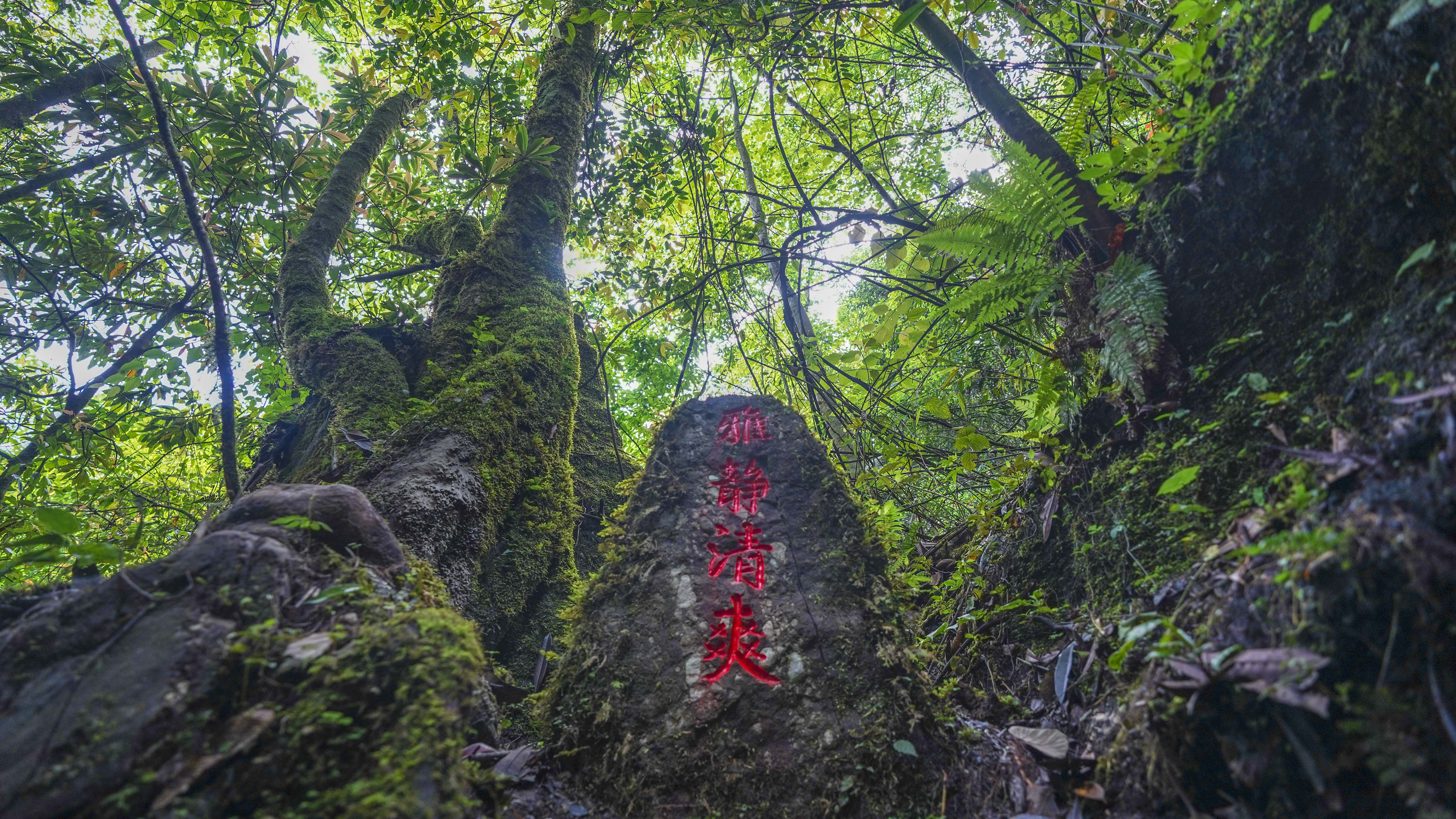  p>猴山飞瀑旅游区位于中国优秀旅游城市——雅安市境内,景区东与