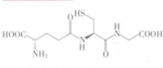 glutathione  GSH _