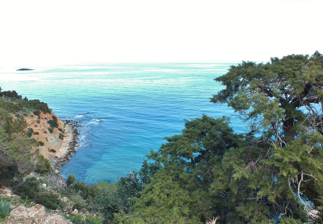 阿卡玛斯半岛