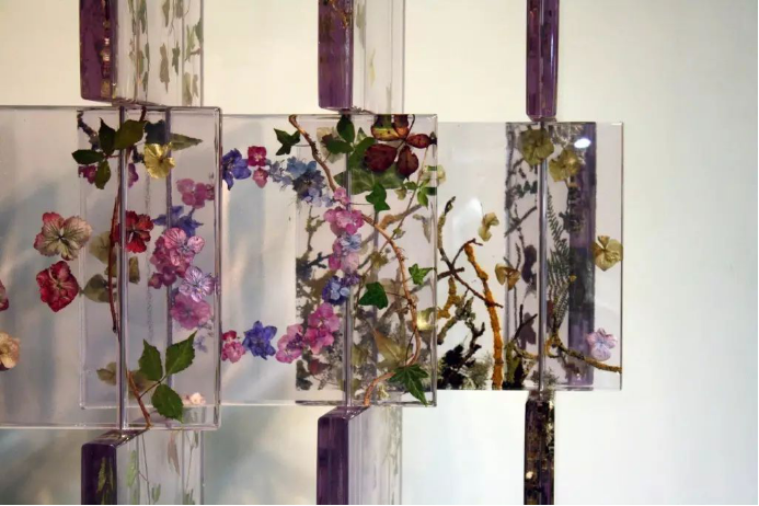 独特的美：用压花征服全世界_百科TA说