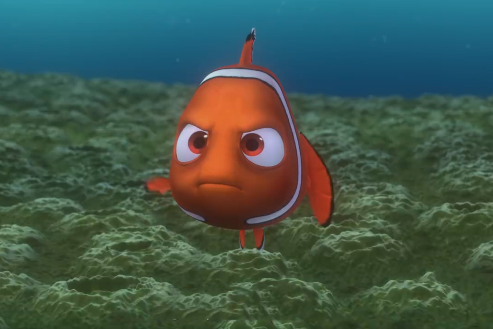  p data-id="gnwo5iz1ad">尼莫是美国2003年动画电影《 a target="