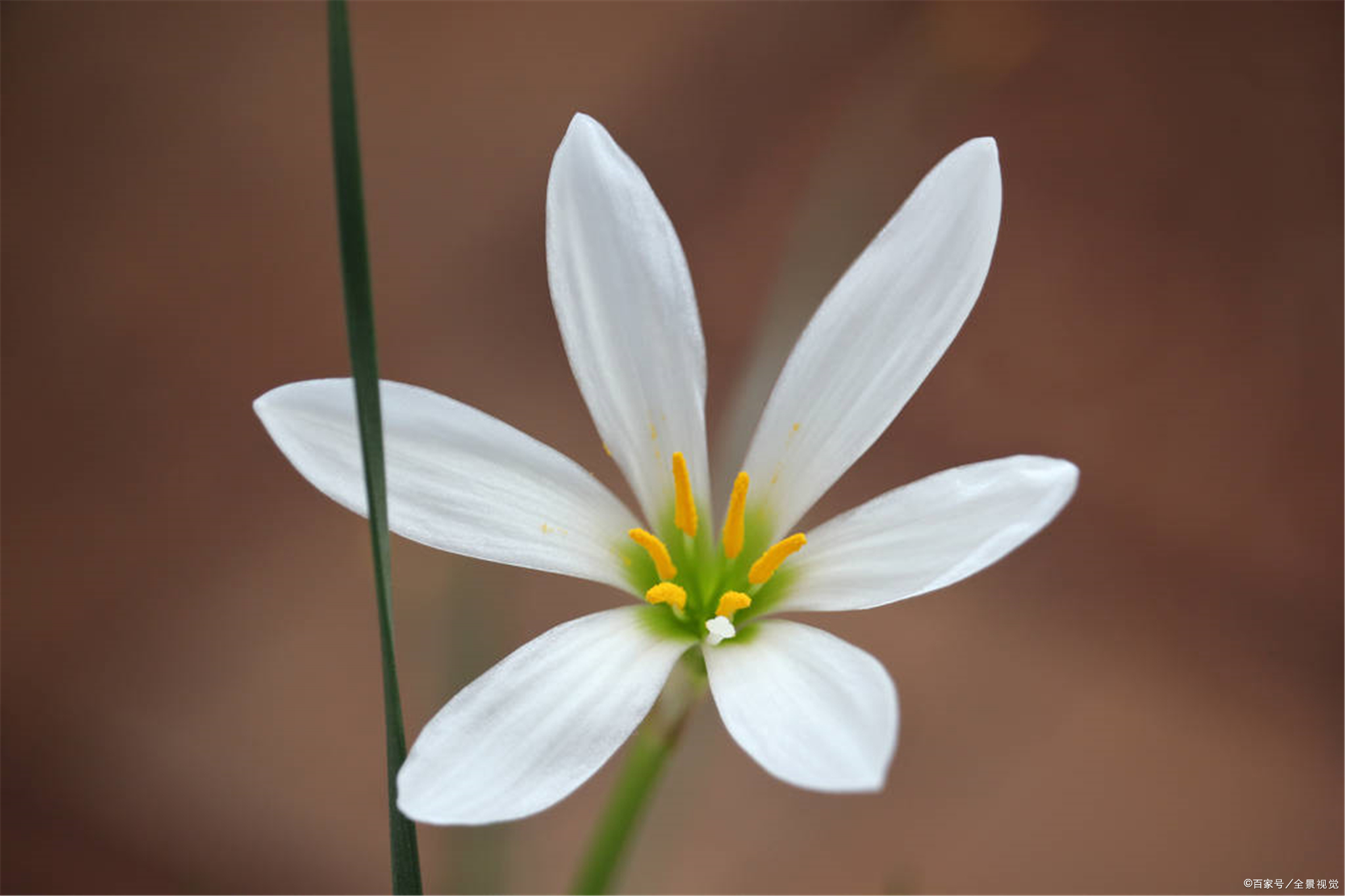 穷则独善其身，达则兼济天下”，祖先的金句反着来，难免会失意_百科TA说