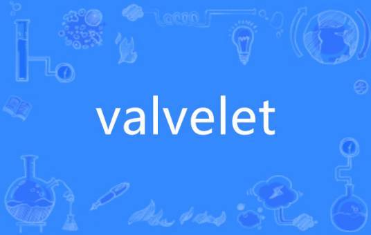 valvelet_百度百科