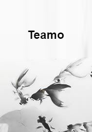 Teamo_百度百科