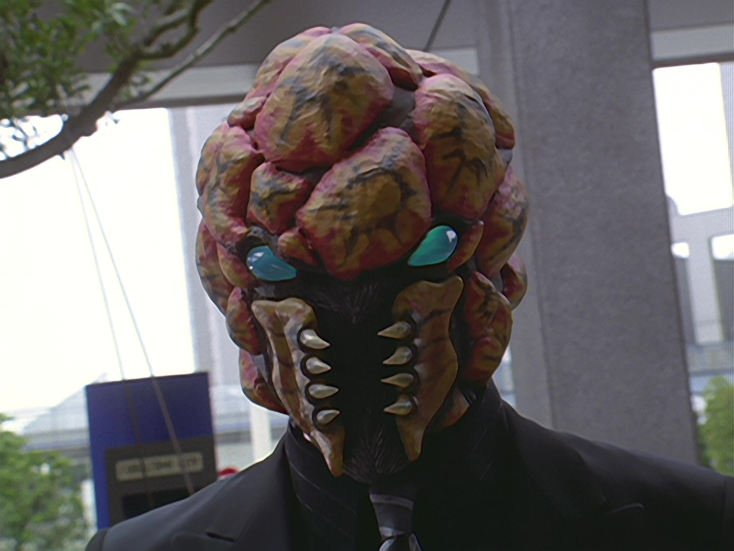 其名字取自英文的"毒蘑菇". /p> p>在方圆10公里的范围内布满菌丝