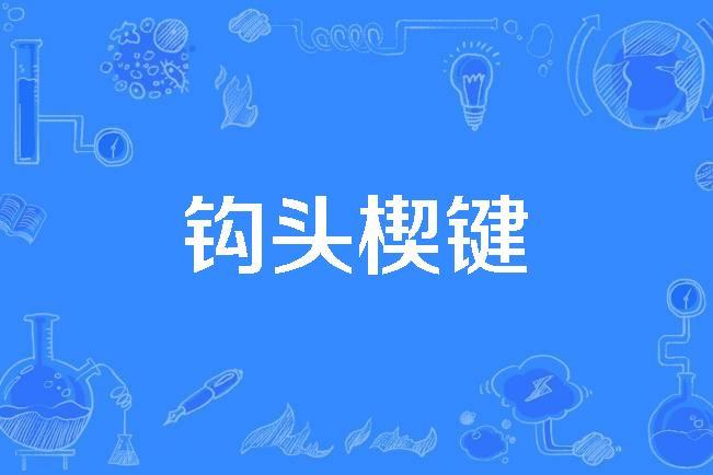 钩头楔键