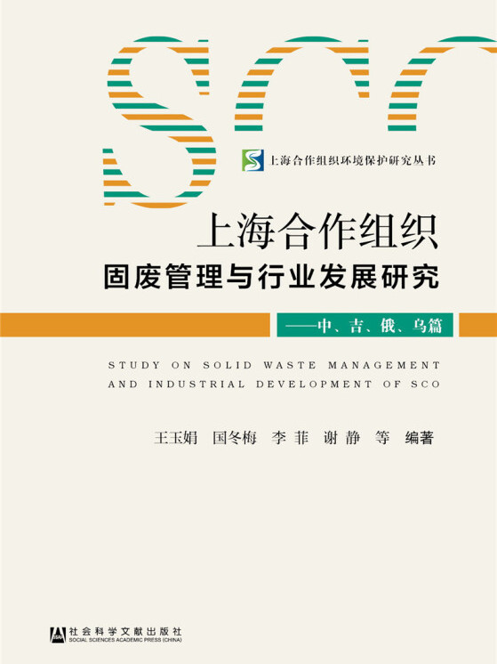 是2018年5月1日社会科学文献出版社出版的图书,作者是王玉娟,国冬梅