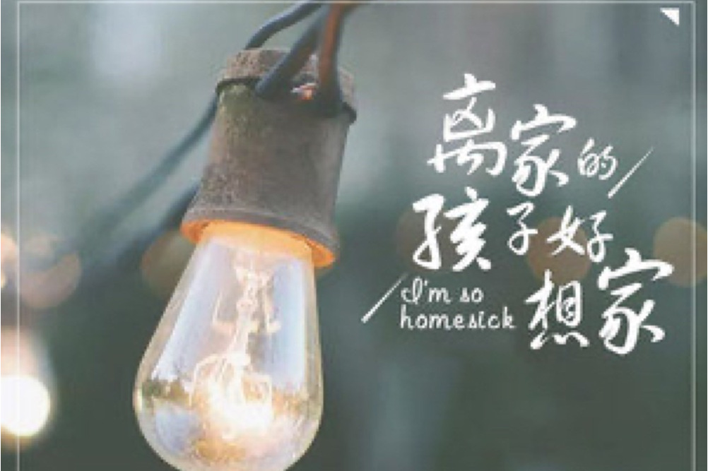 离家的孩子好想家