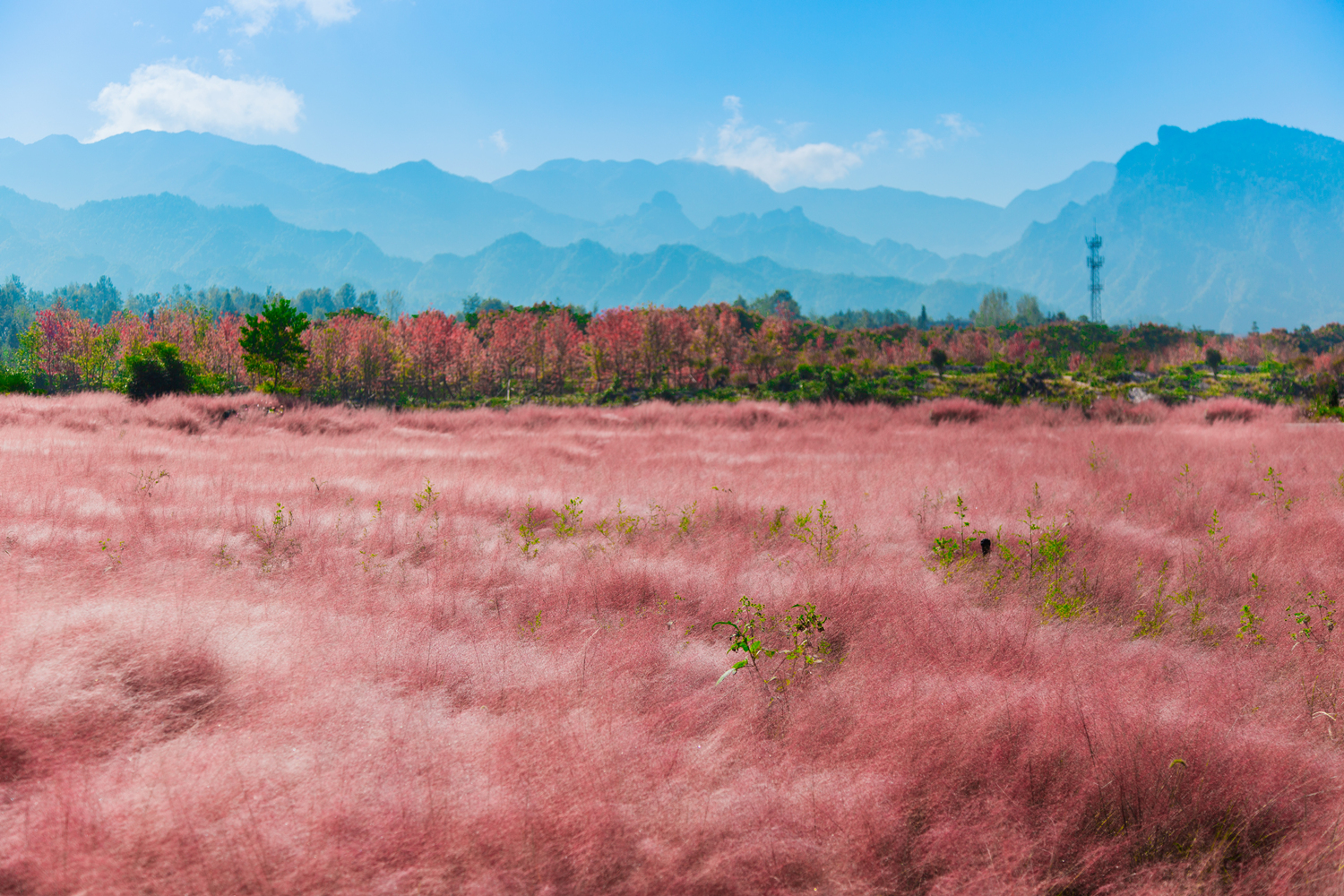  p>酉阳叠石花谷景区位于酉阳县板溪镇,距县城12公里.