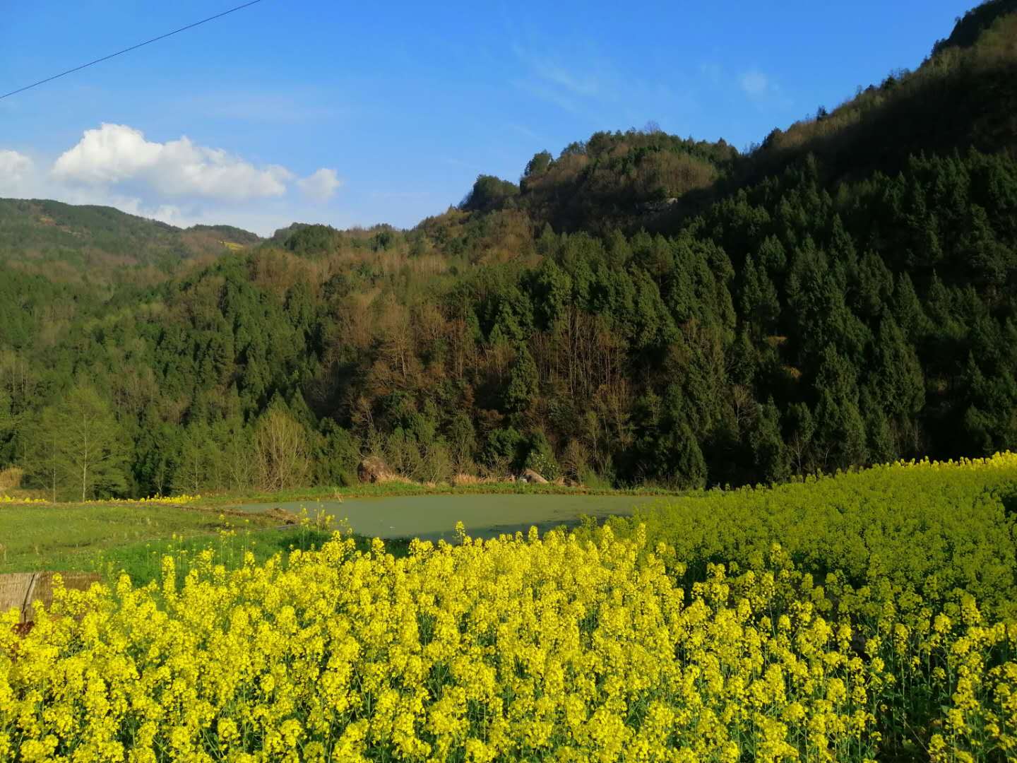  p>龙凤场镇,隶属于四川省巴中市通江县,地处 a target="_blank" href