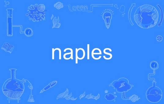 naples_百度百科