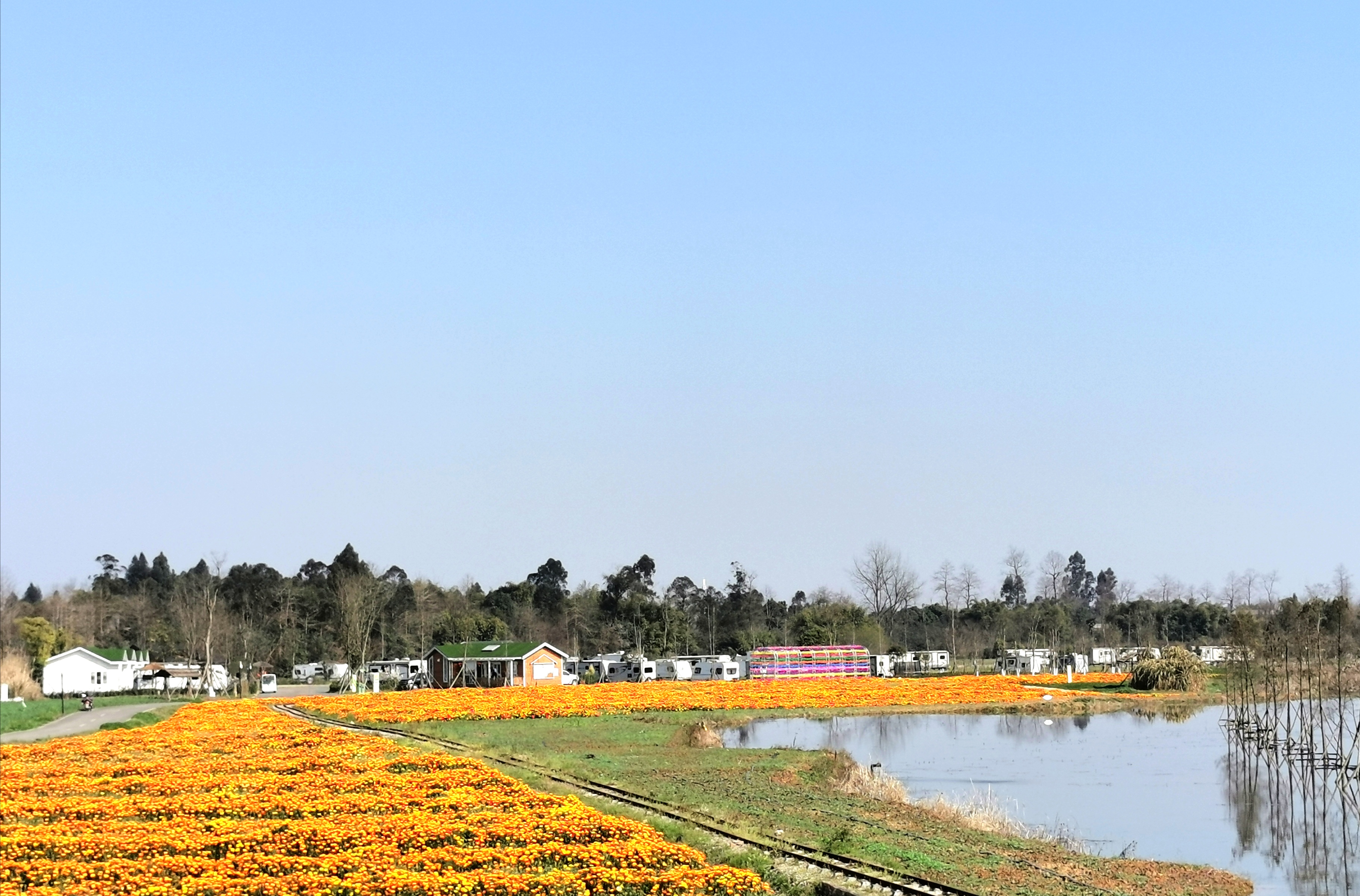  p data-id="tustkhg4zrfk">蔚然花海是成都市最大的花卉观光基地