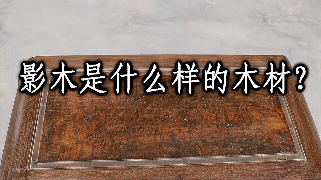 影木是什么样的木材？_科星球_百度百科