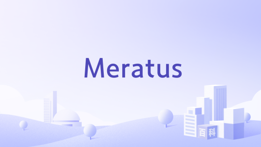 Meratus_百度百科