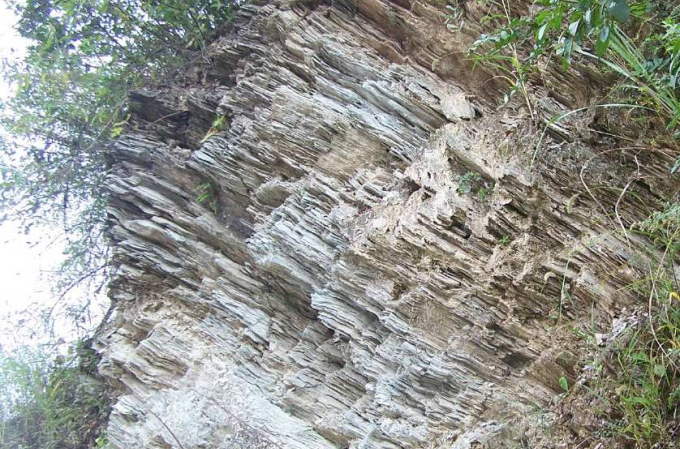 是 a href="#" data-lemmaid="7134199">板岩 /a>特有的构造.