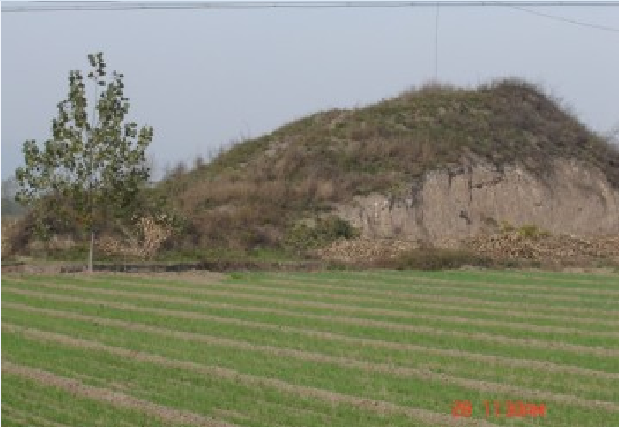 id="982807">春秋 /a> a target="_blank" href="/item/晋国/4862635"