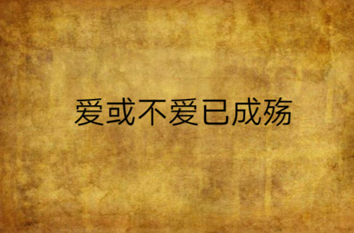 爱或不爱已成殇