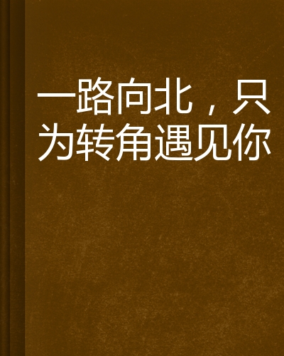 一路向北,只为转角遇见你