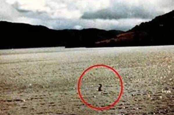 青海水怪
