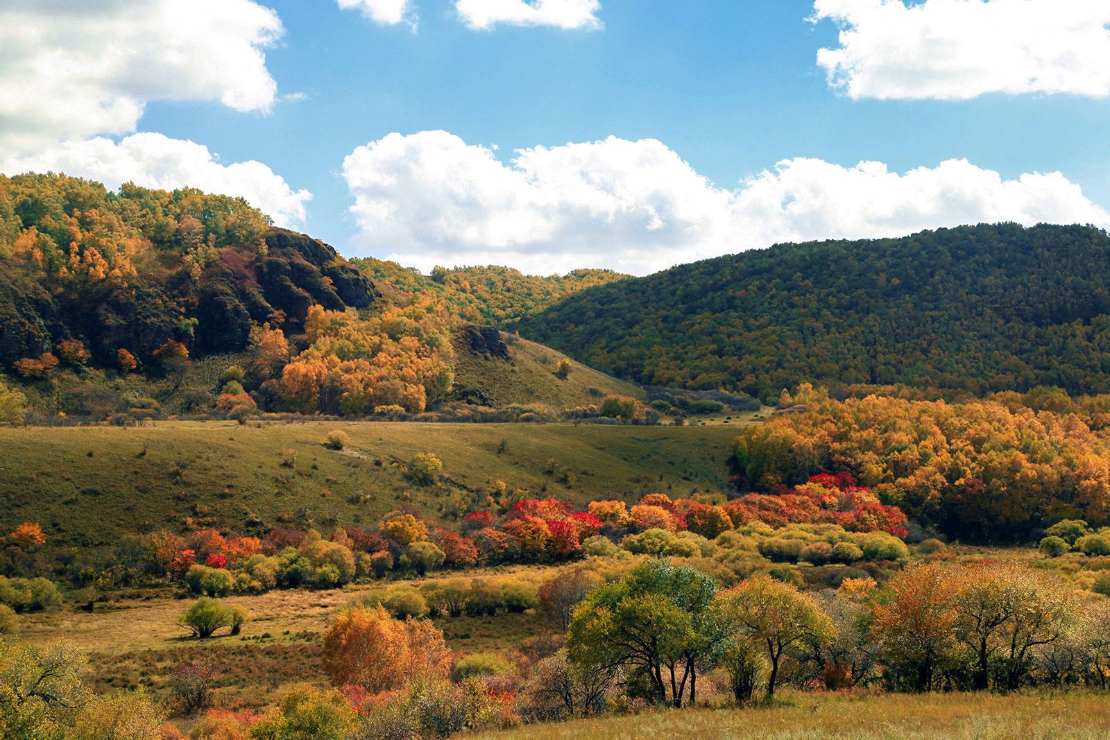 target="_blank" href="/item/围场满族蒙古族自治县">围场满族