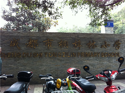 成都桐梓林小学