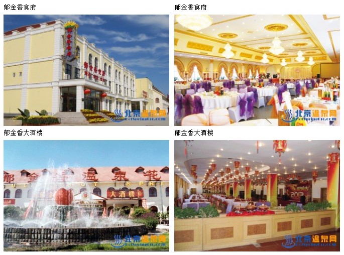 郁金香温泉花园度假村