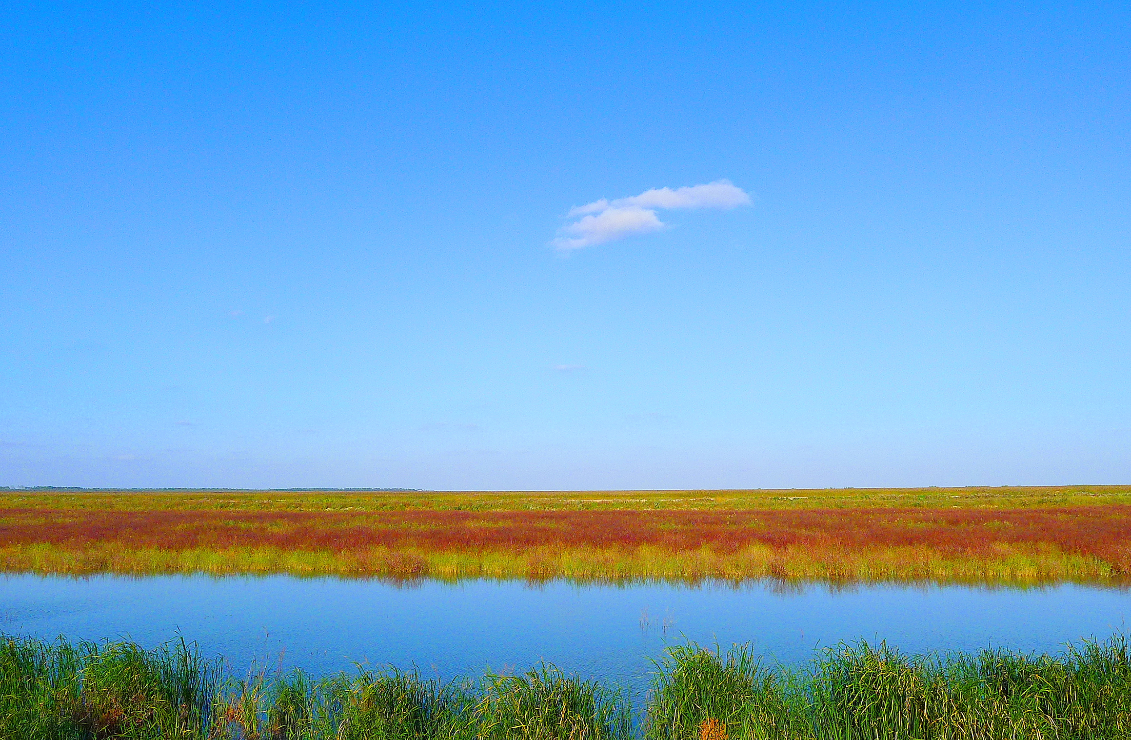 江苏盐城保护区