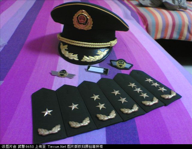 "/item/武装">武装 /a>力量中,解放军及武警的军官大檐帽帽檐上均有 a