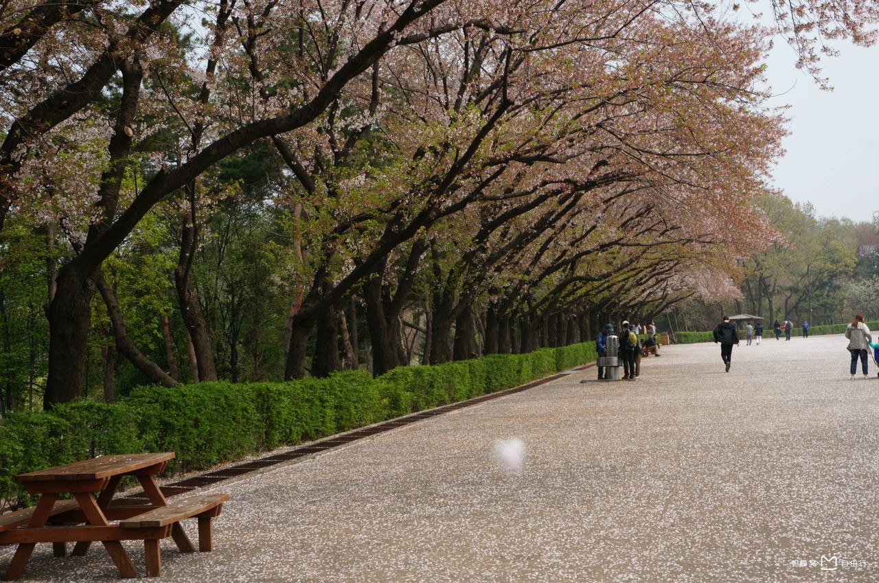  p>位于京畿道果川的首尔大公园是 a href="#" data-lemmaid="6009333