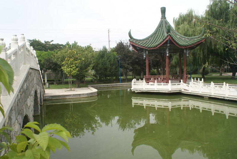 莱阳市第九中学
