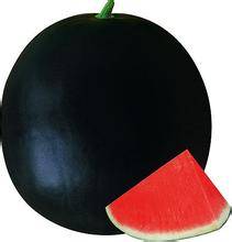 黑丽宝_百度百科