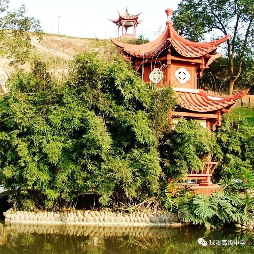 四川省资中球溪高级中学