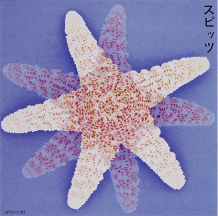 Spitz_百度百科