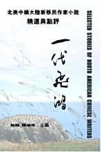 《一代飞鸿》