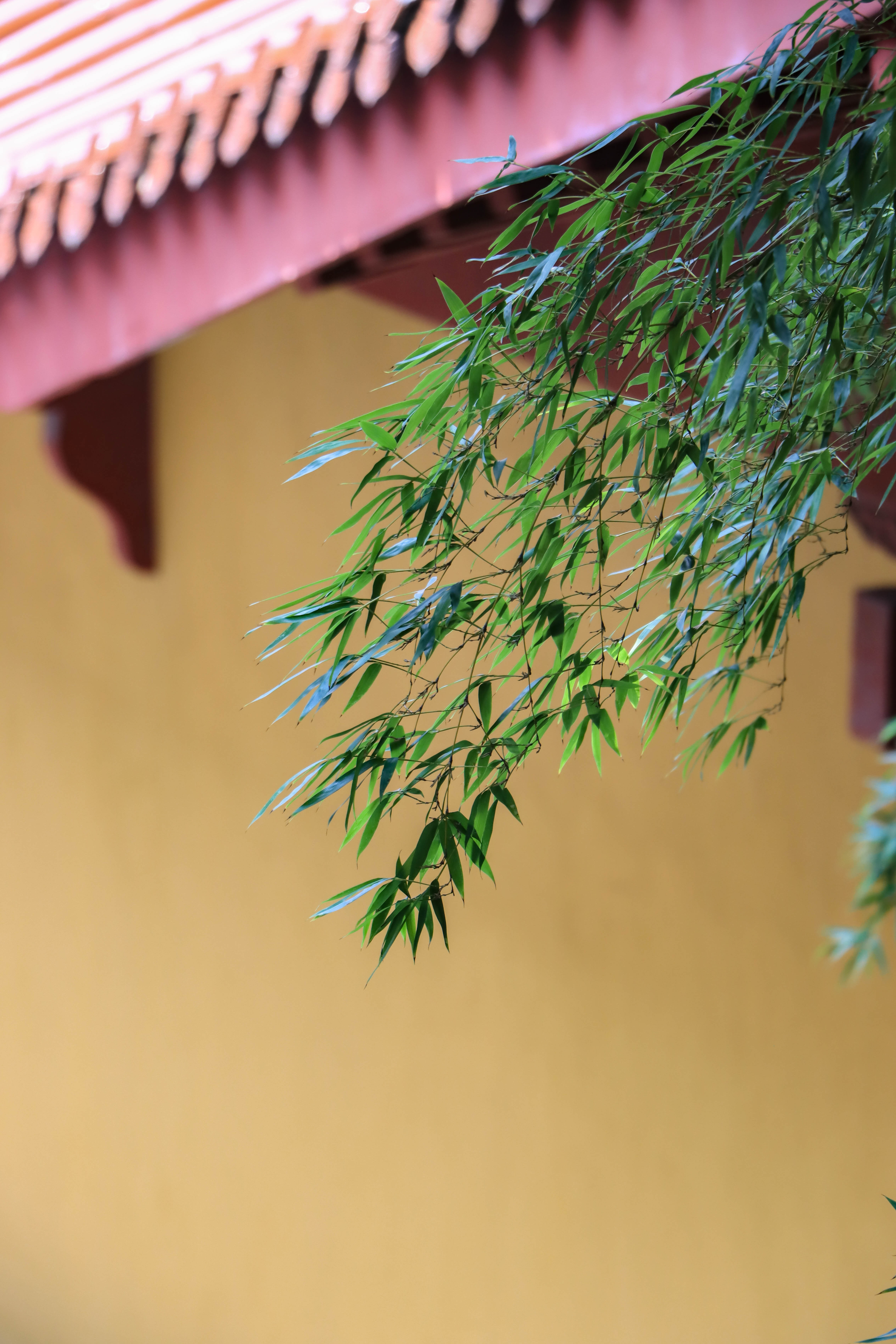 srx">地藏寺,浙江省 a target="_blank" href="/item/萧山市/6087443"