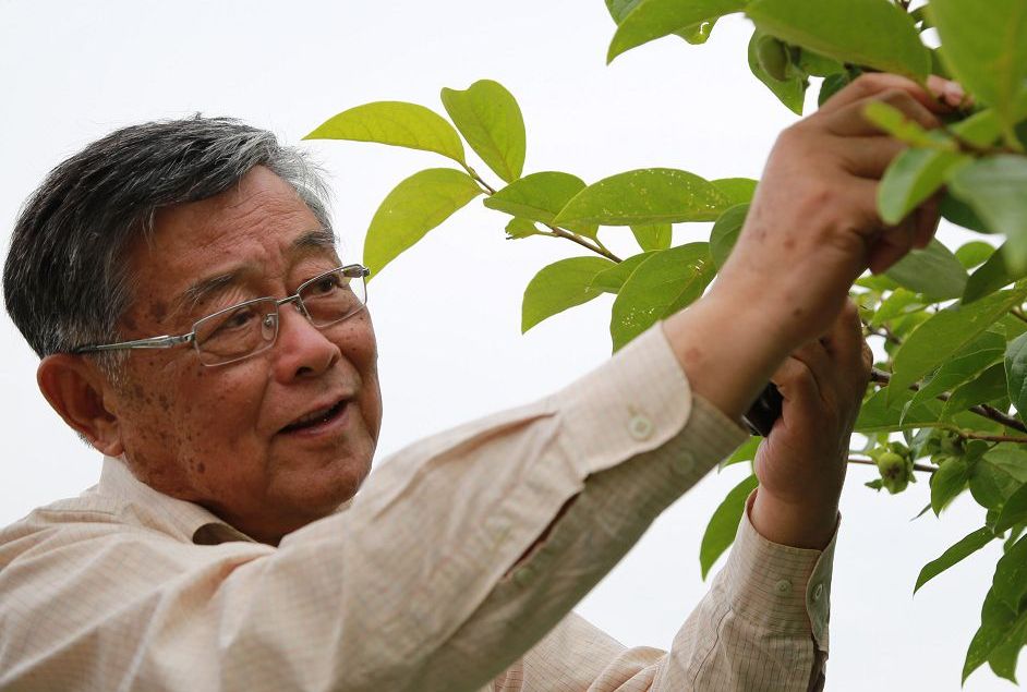 赵亚夫,男,汉族,1941年4月出生,<a target="