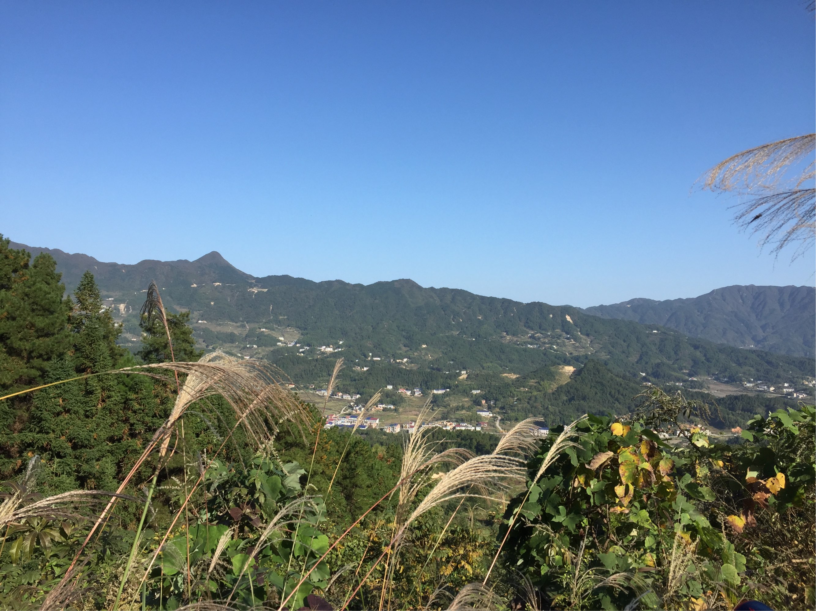  p data-id="go08icng8x">龙田镇,隶属于湖南省长沙市宁乡市,地处 a