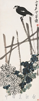 菊花八哥