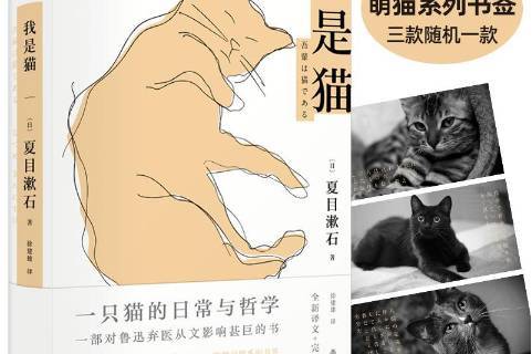 我是猫