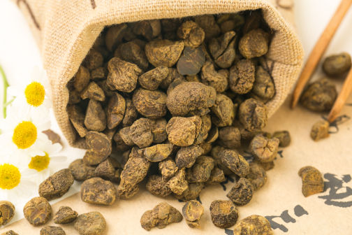 延胡索（罂粟科紫堇属植物）_百度百科