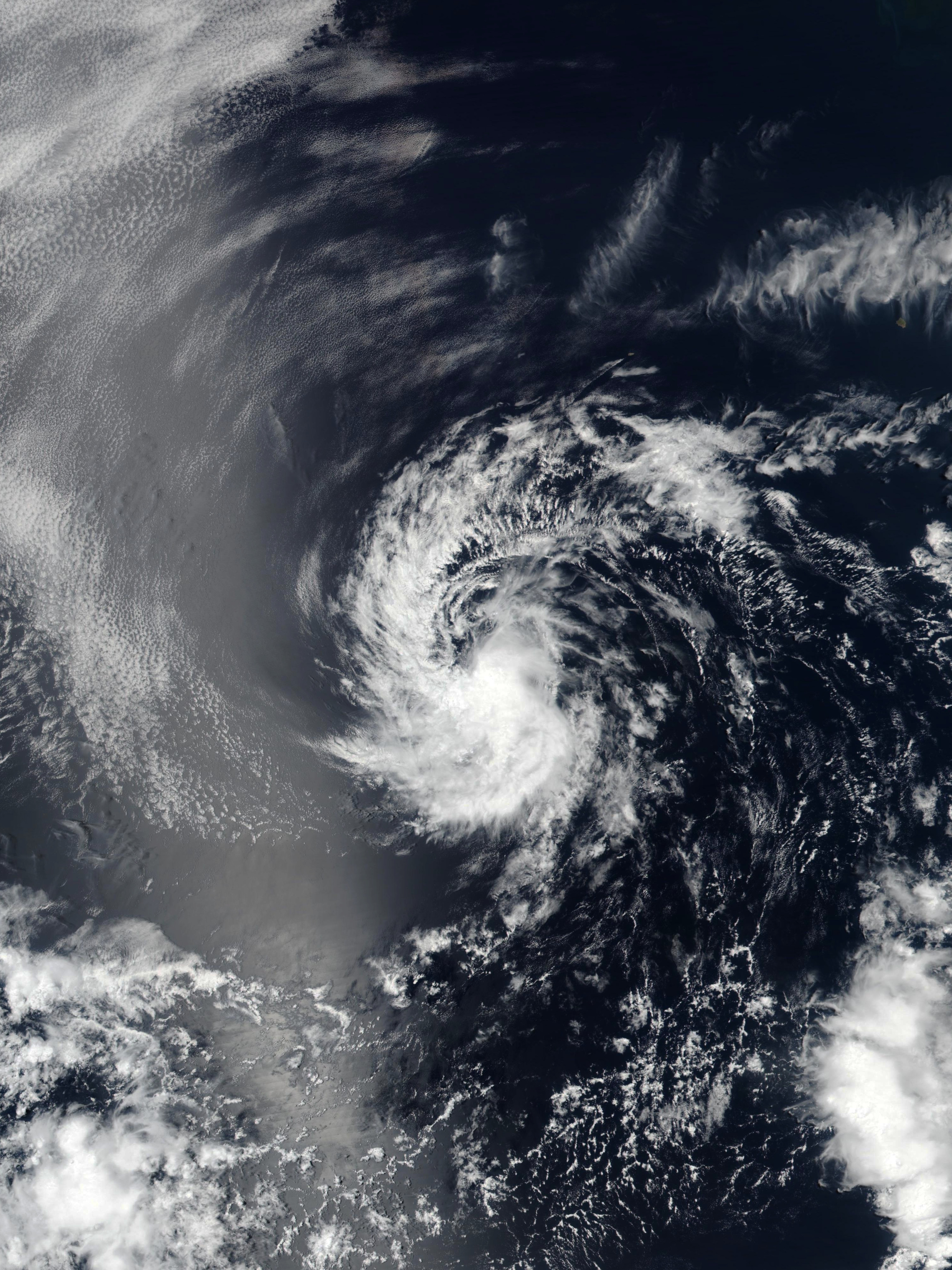 2020年太平洋飓风季