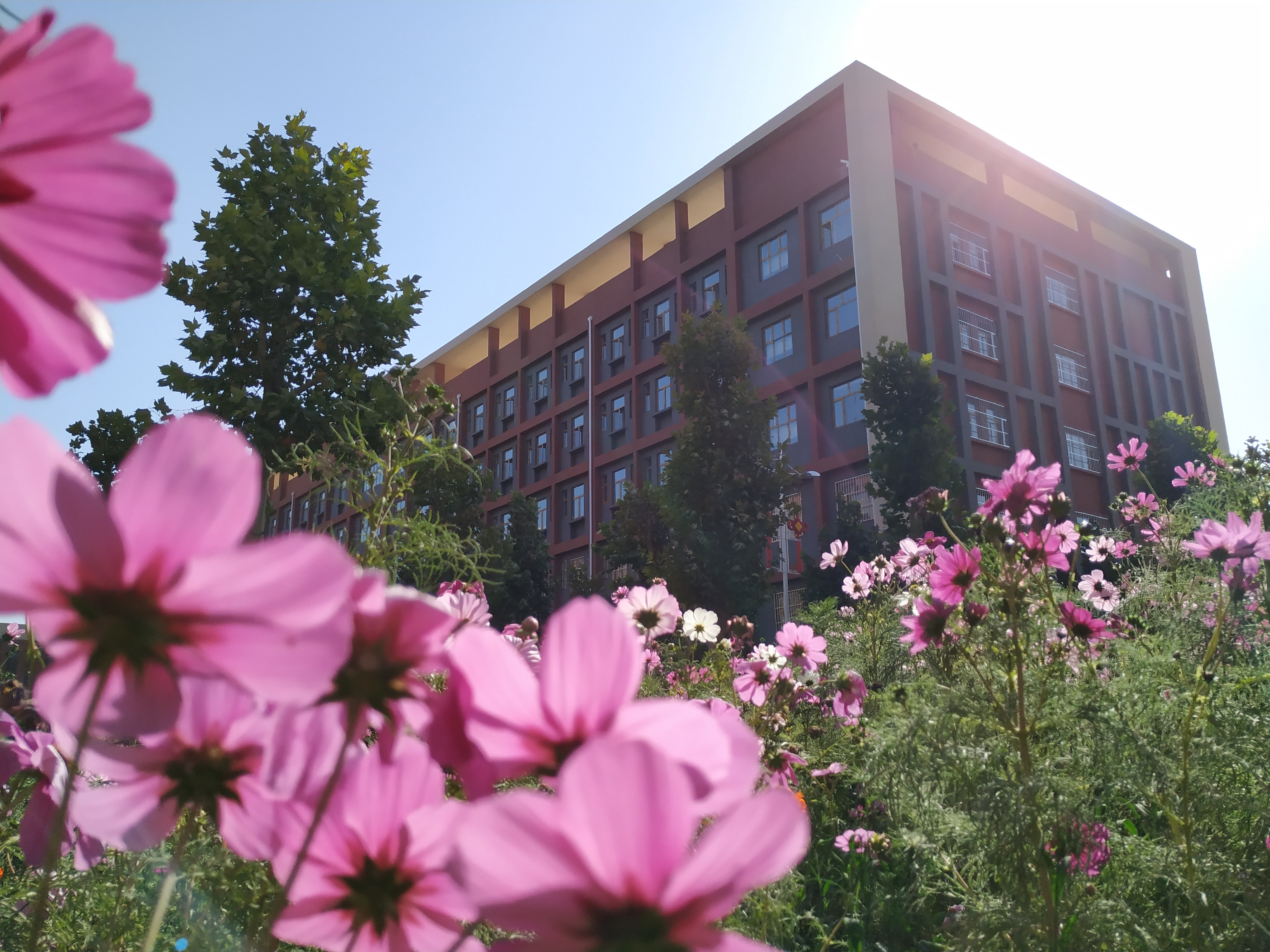 衡水安平志臻中学