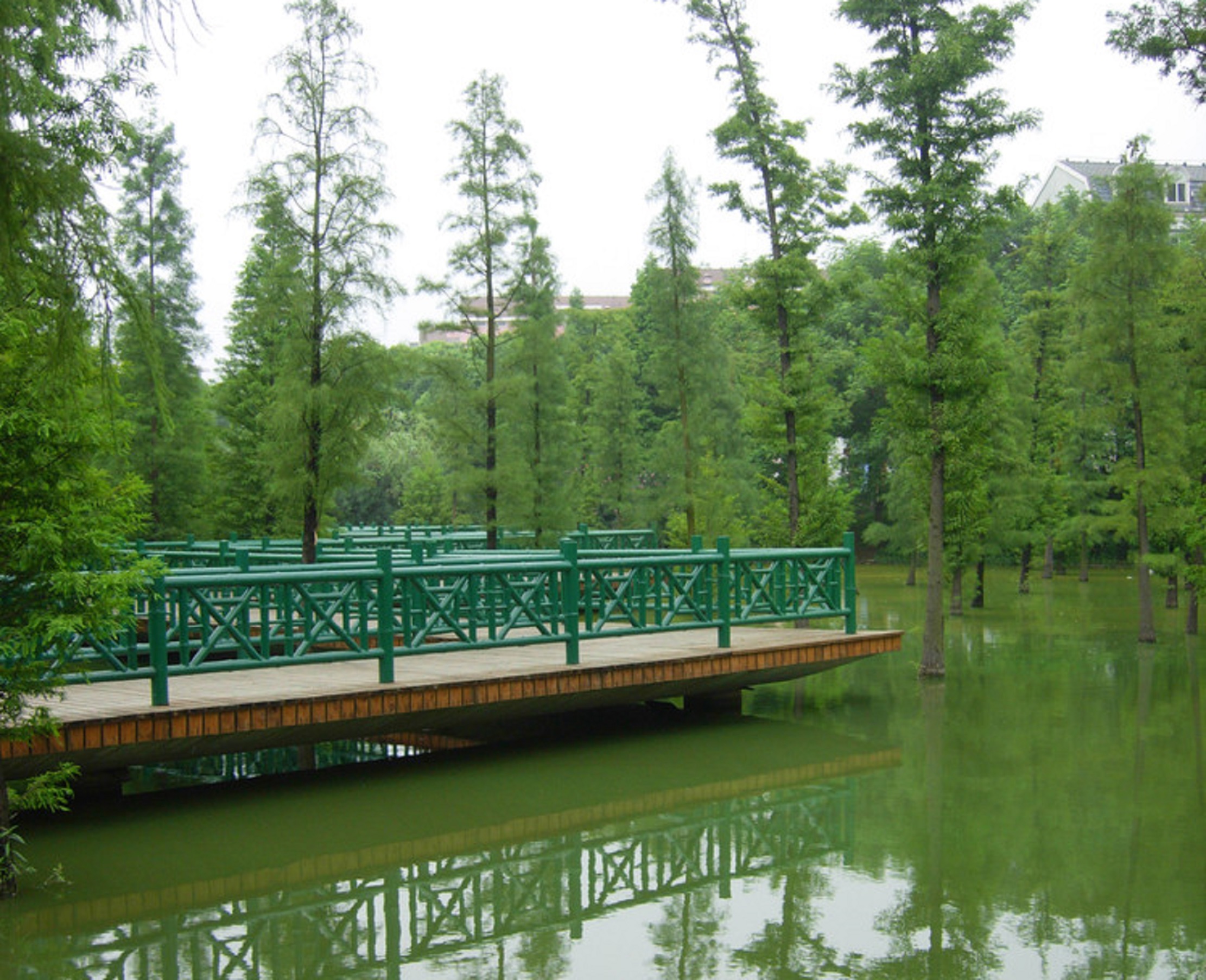 翠竹公园