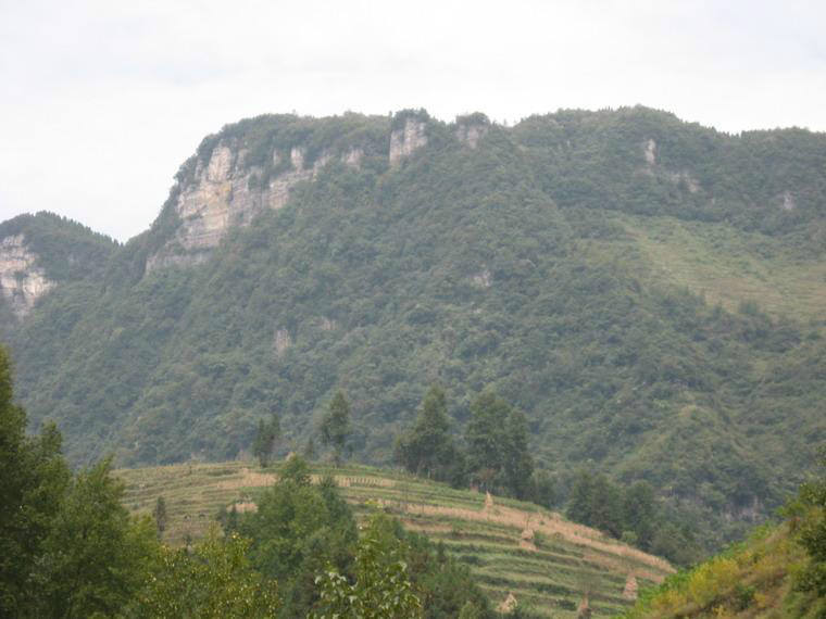 云南省/18664752" data-lemmaid="18664752">云南省 /a>昭通市镇雄县