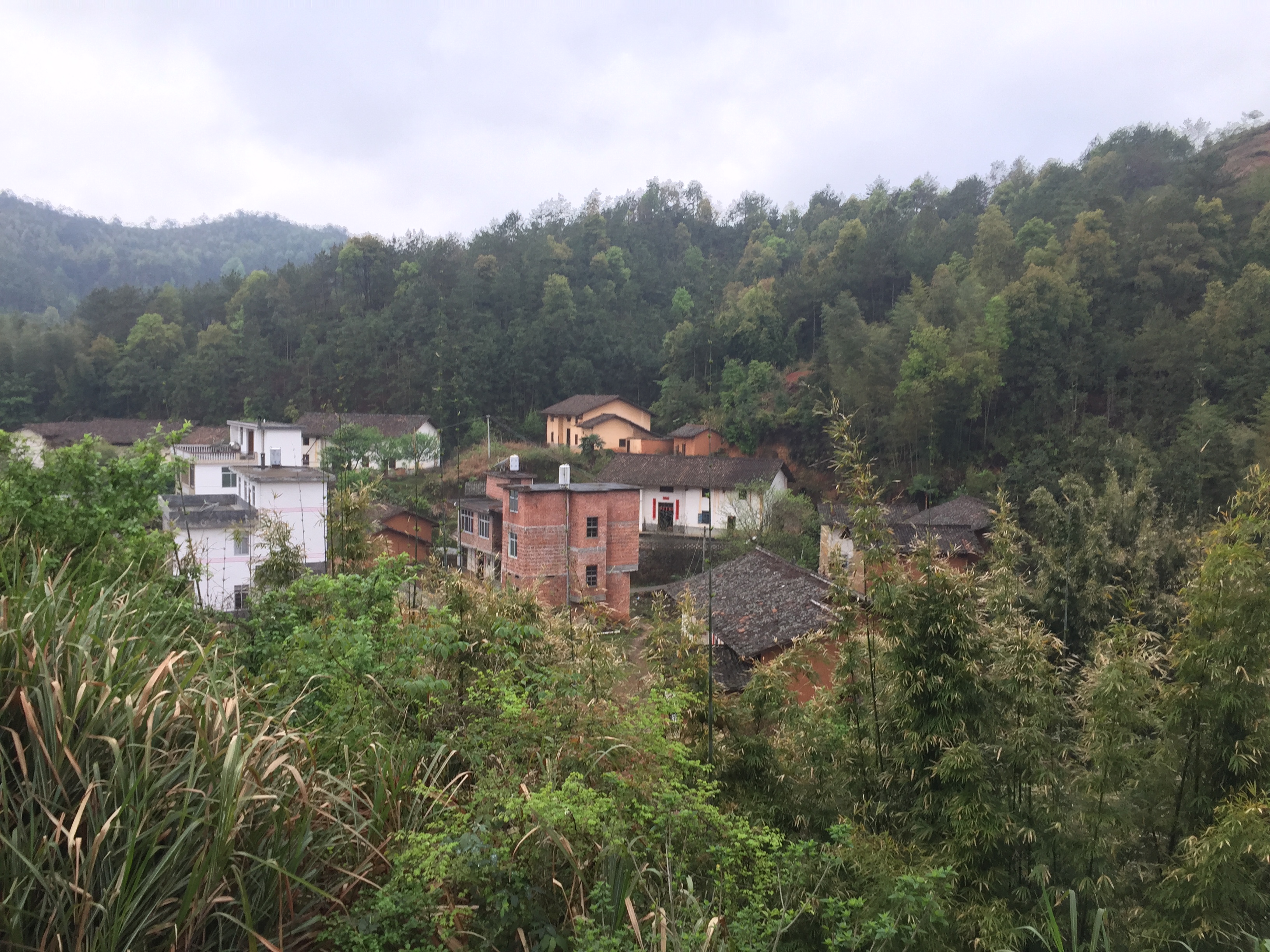  p>塘埠组位于江西省赣州市赣县沙地镇马口村东北方向,地处山区,民风