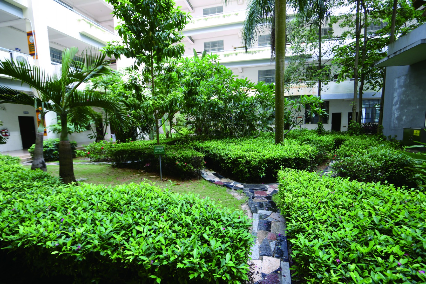 海口市第四中学