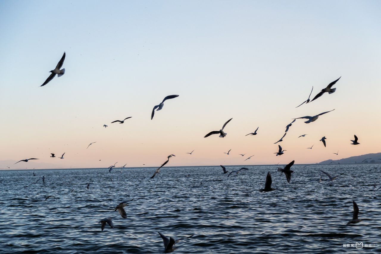  p>滇池,亦称 a target="_blank" href="/item/昆明湖/13481880" data