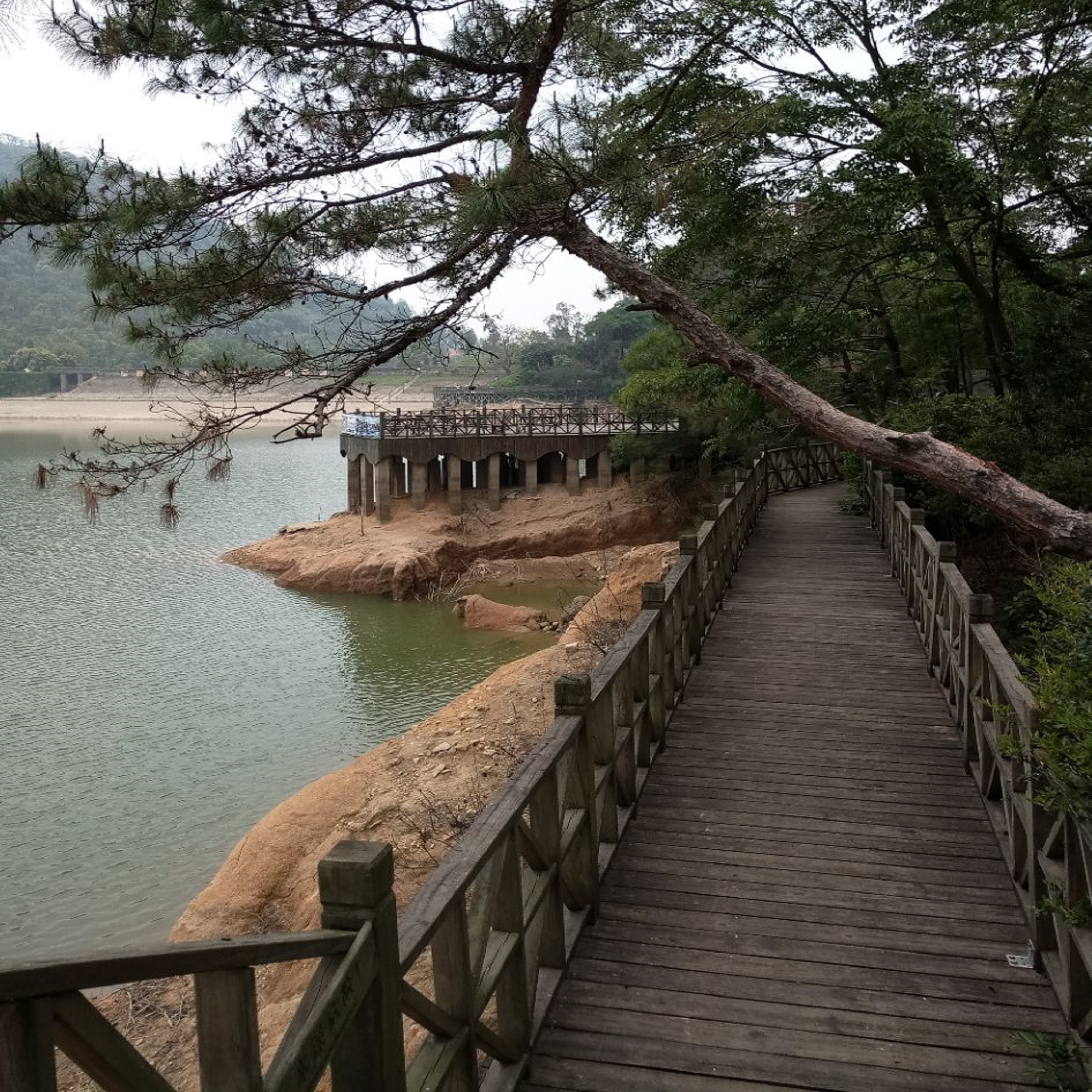 厦门天竺山森林公园