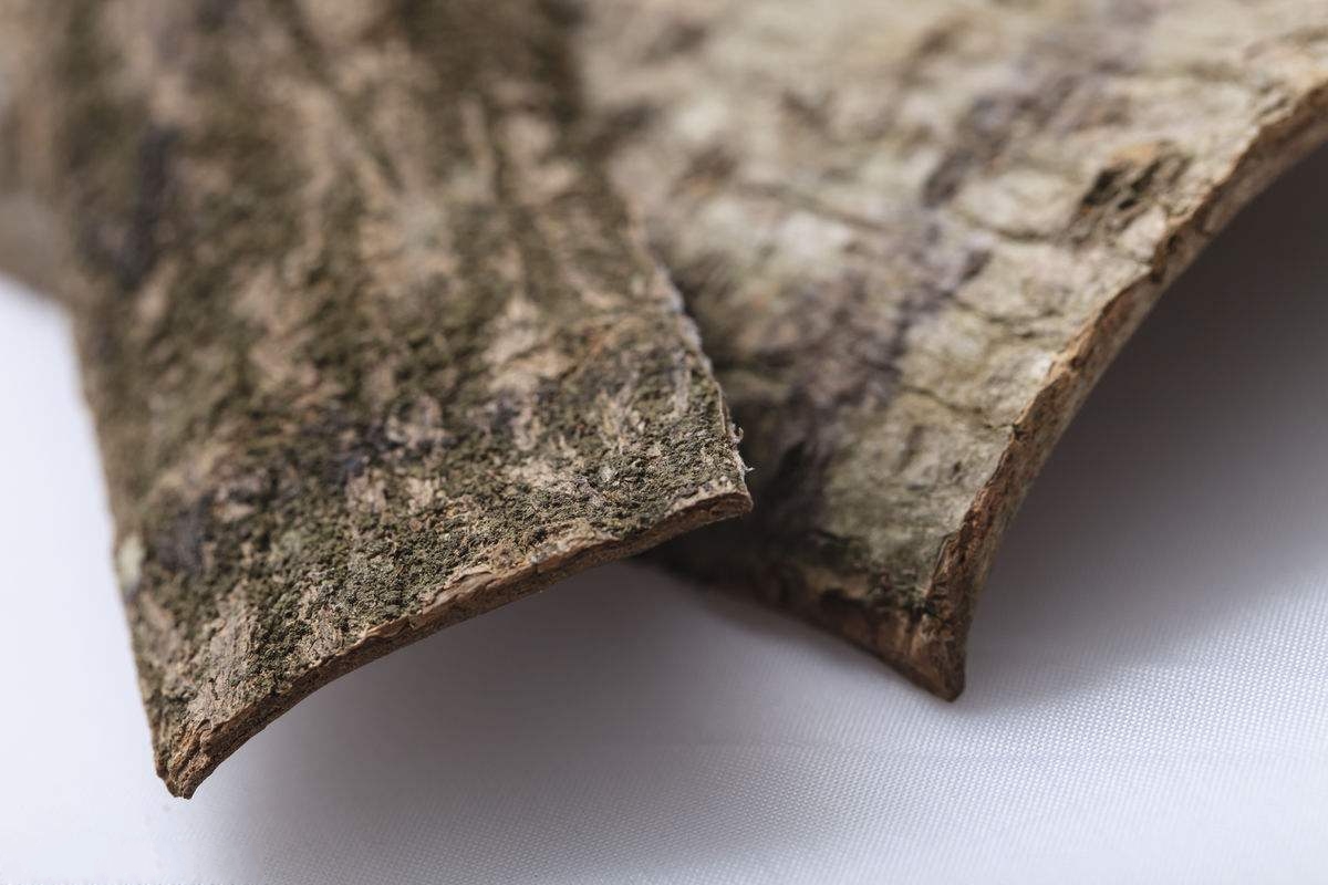 杜仲的十大功效与作用,杜仲和什么泡水喝能壮阳